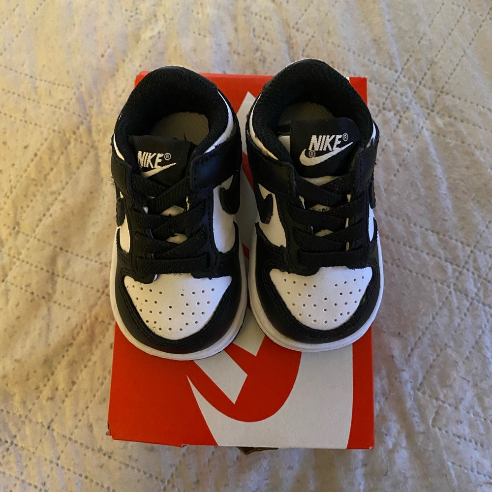 Pandas 🐼